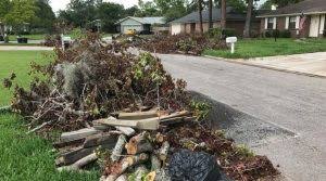 Marion County residents could face fines for debris dumping