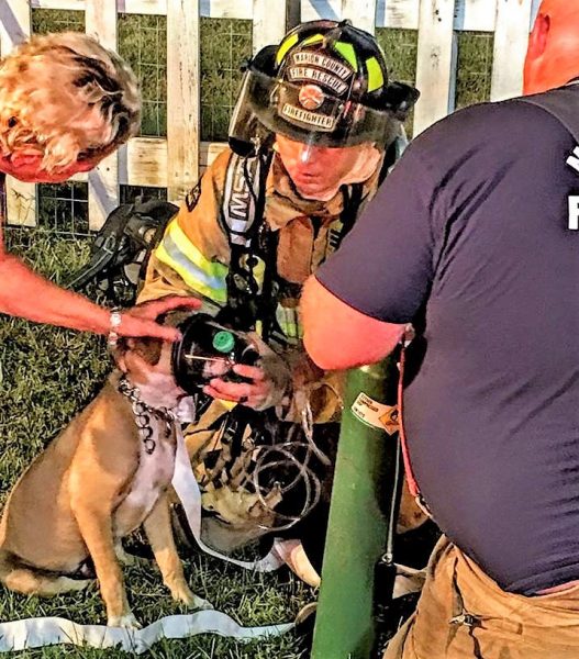 Dogs rescued from Ocklawaha mobile home after grease fire breaks out in kitchen