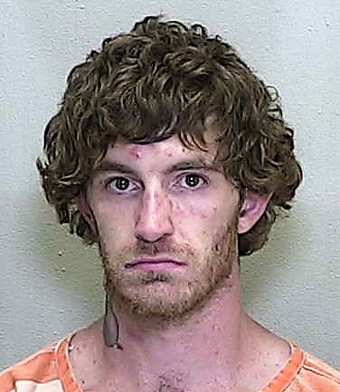 Crying Ocklawaha man charged with battering pregnant woman
