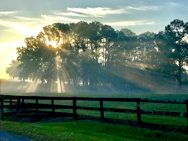 Filtered sunlight shines down on the Bradac Ranch during sunrise.
