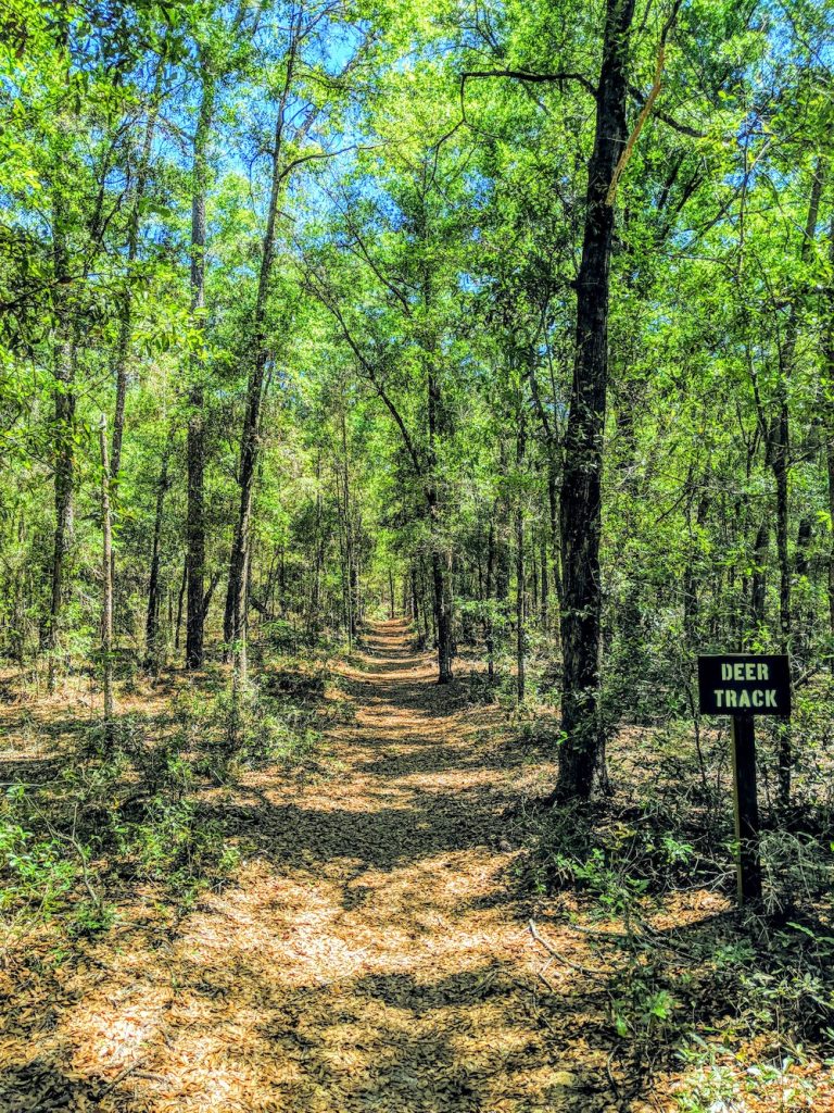 Get out and explore Silver Springs Conservation Area