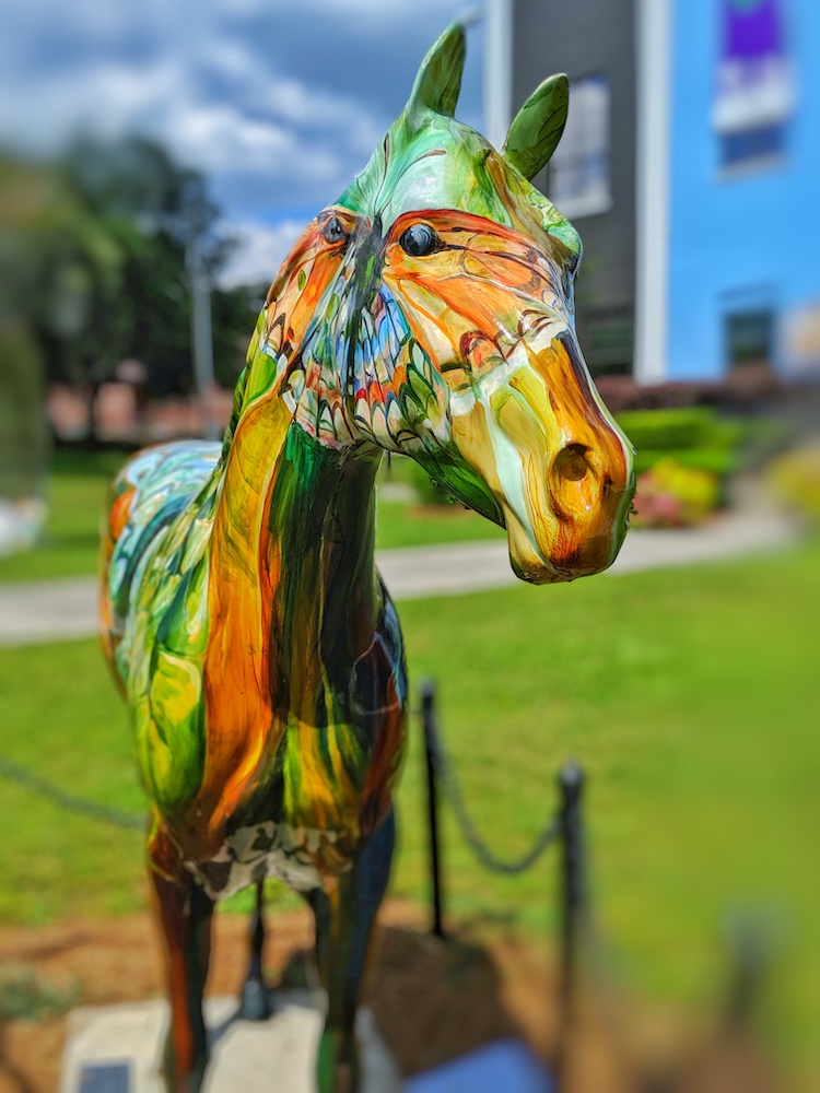 Painted Horse in Ocala