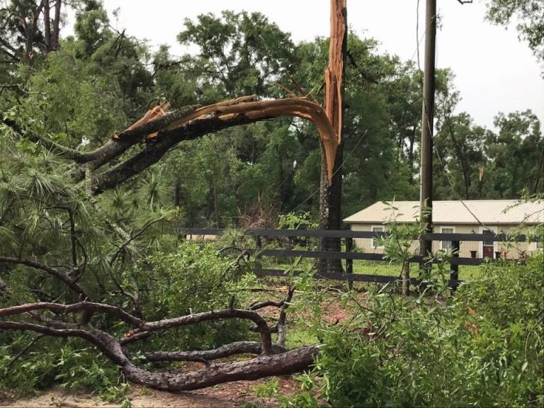 Storm leaves behind path of destruction as it slices through Marion County