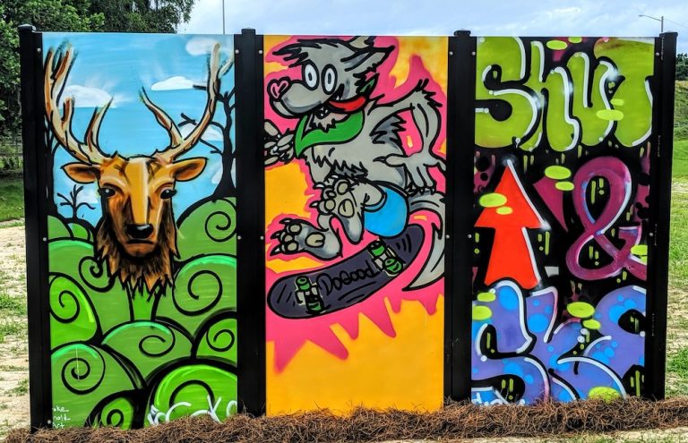 One of the new art panels at Ocala Skate Park