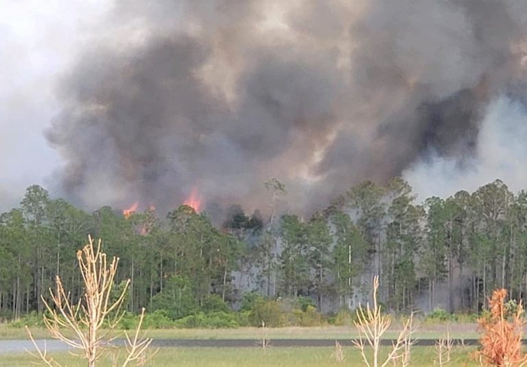 Crews still battling fast-moving flames in Ocala National Forest