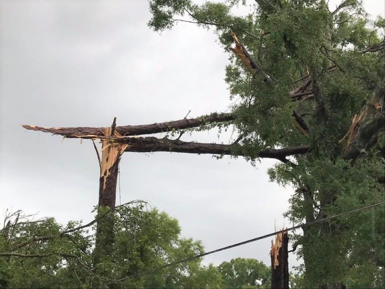 Tornado ripped through portion of Marion County on Sunday