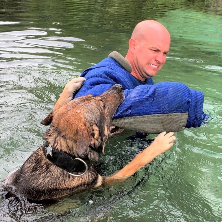 Highly lauded Marion sheriff’s K-9 teams beat the heat with special water training class