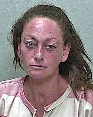 Belleview horse trainer admits to hitting chatty roommate with broom