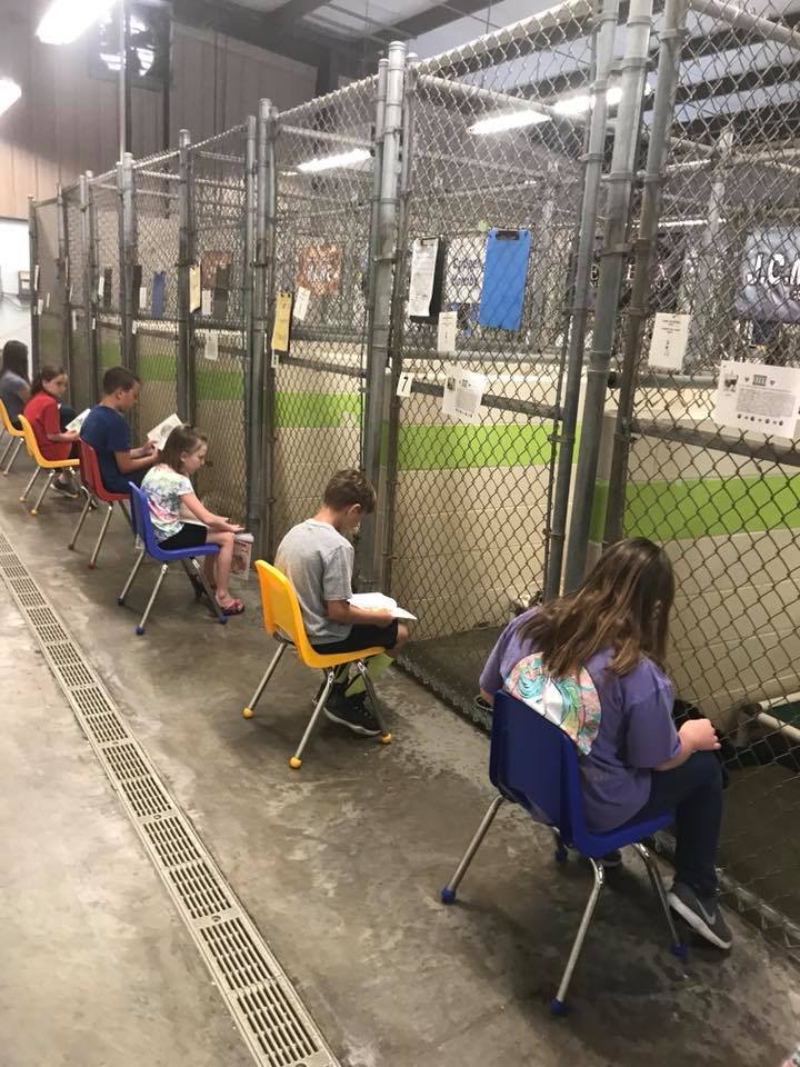 Humane Society inviting young readers to read to dogs