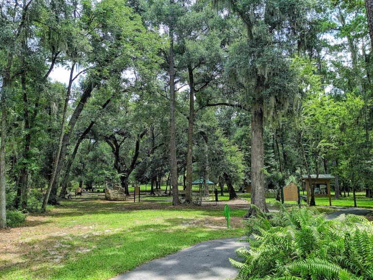 City considering $100,000 settlement for child struck by oak tree at Ocala park