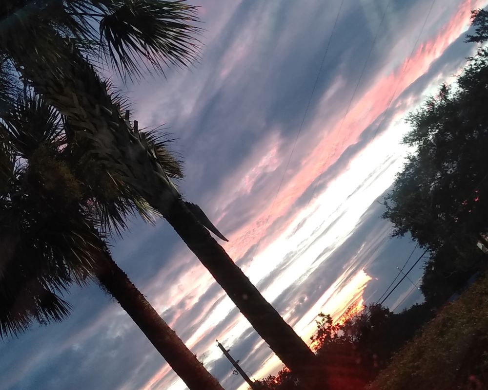 Sunset in Ocala