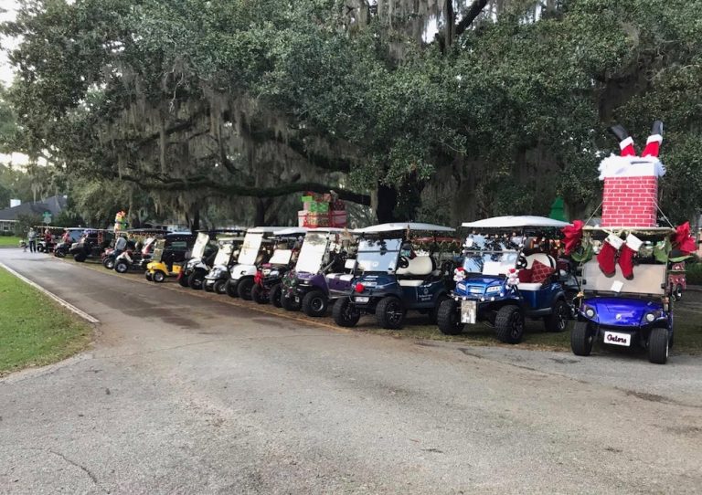 Do you support a golf cart ordinance for parts of Ocala?