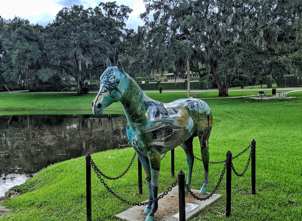 painted horse in Ocala