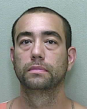 Dunnellon sex offender accused of battering woman