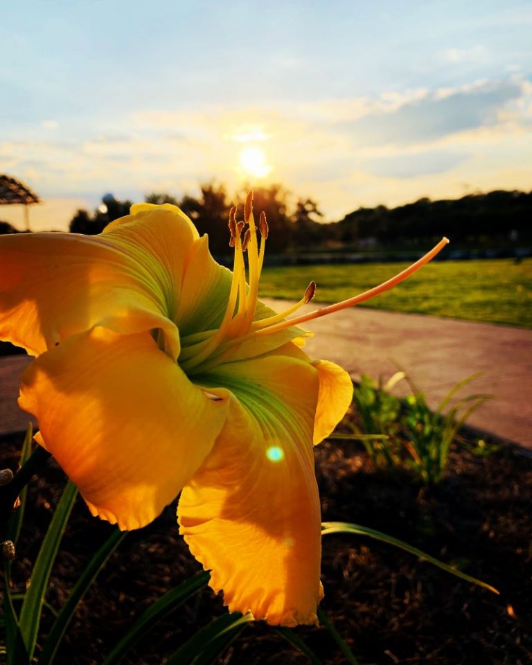 Bright sunrise over Tuscawilla Art Park