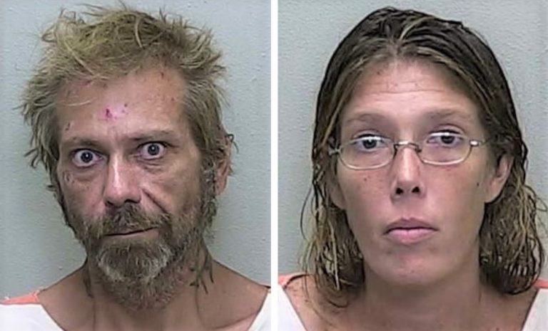 Gainesville couple claims farm supply store theft was in exchange for transportation