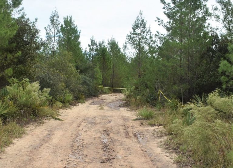 Deer hunter finds human remains buried off trail in Ocala National Forest