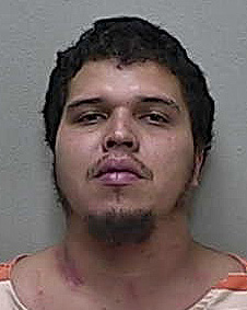 Domestic battery suspect allegedly slugs man with brick while trying to avoid police