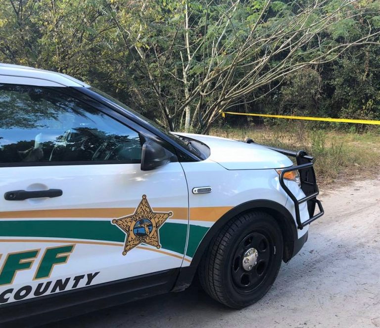 65-year-old pilot killed when small plane crashes in Ocala National Forest