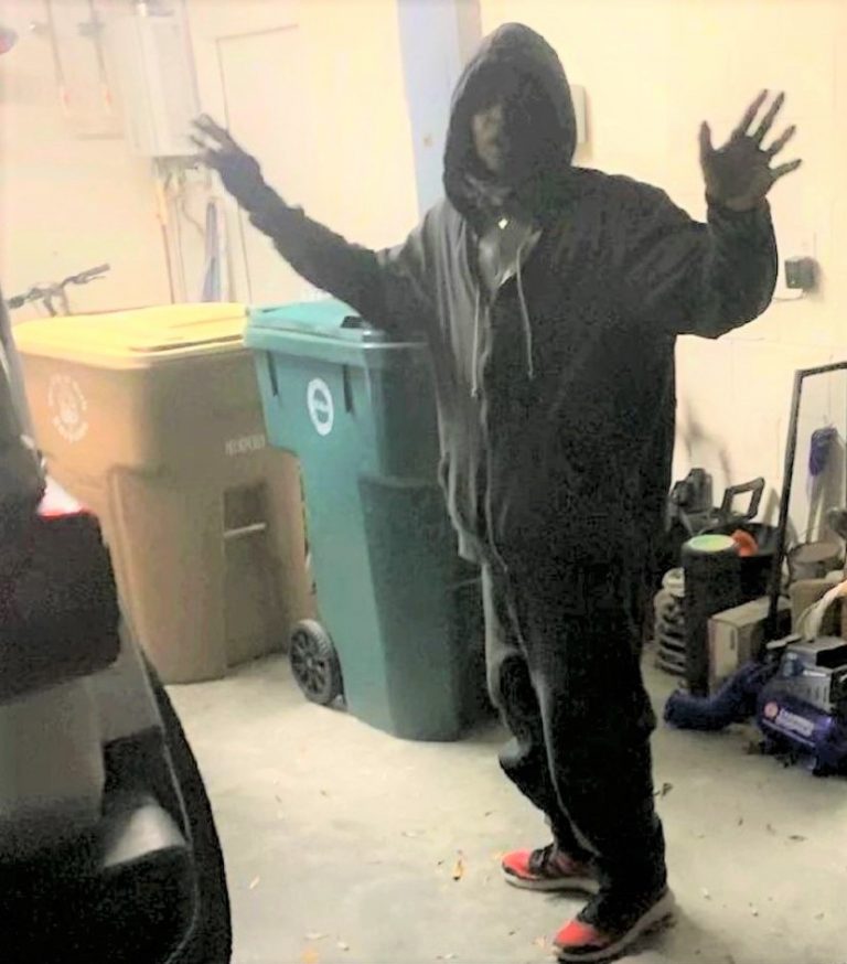 Ocala homeowner snaps photo of brazen bandit inside his garage