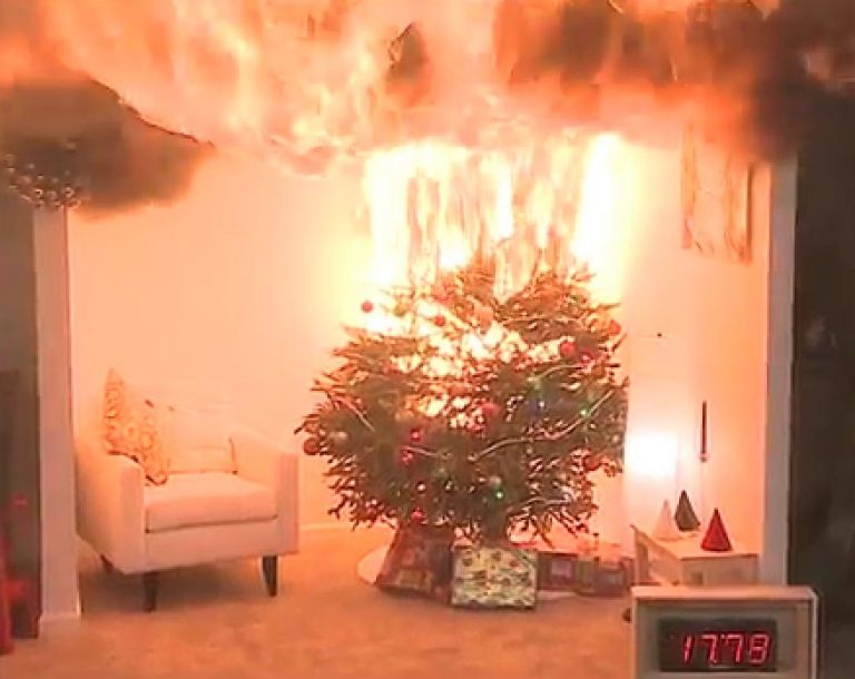 Residents warned of very real dangers of Christmas tree fires
