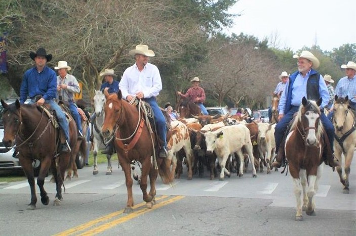 Ocala’s Cattle Drive and Cowboy Round-Up returns on February 11