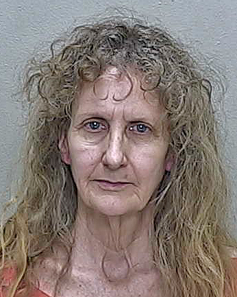 ‘Sovereign’ Ocklawaha woman jailed after leading deputy on chase