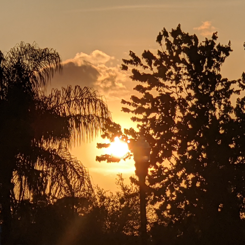 Beautiful Backyard Sunset In Northeast Ocala