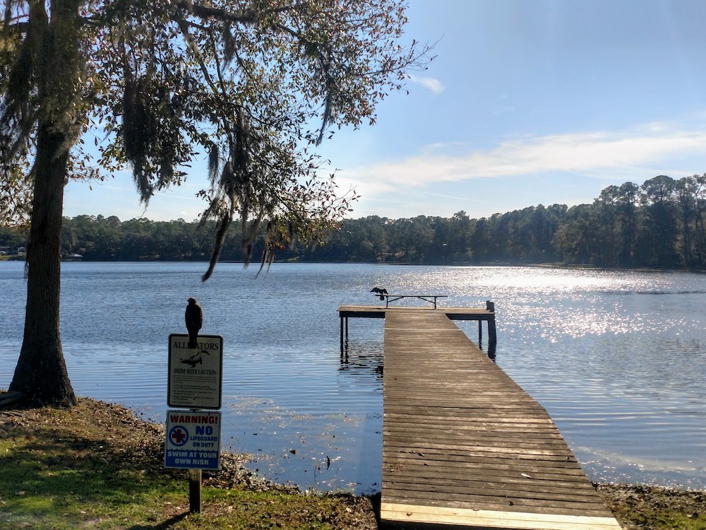 Dock At Lake Waldena