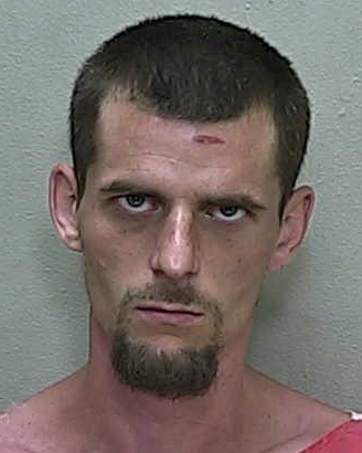 Belleview man arrested after hijacking city truck