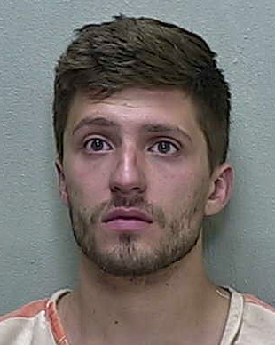 Ocala man charged with battering girlfriend and fleeing cops