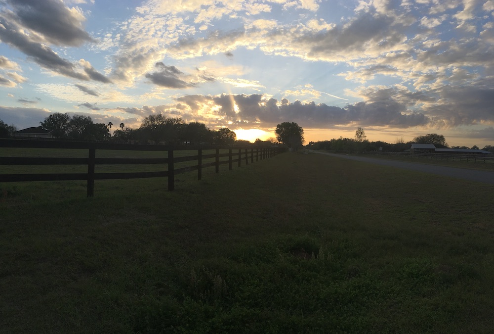 Sunset Over Horse Pasture In Ocala