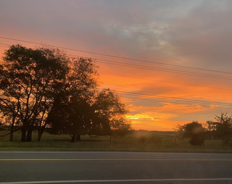 Beautiful Orange Sunset In Ocala