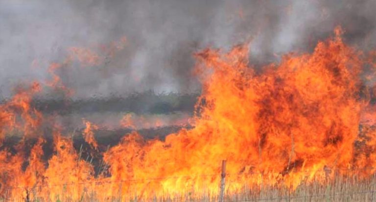 Voluntary burn ban in Marion County has been rescinded