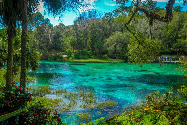 Gorgeous View Of Rainbow Springs State Park