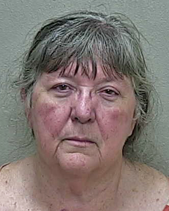 Frustrated Reddick woman admits to taking first swing in fight