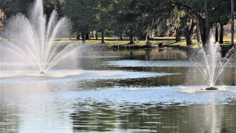 Pond At Tuscawilla Park In Ocala