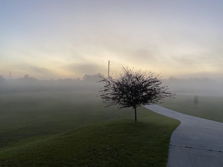 Beautiful Morning Haze In Dunnellon
