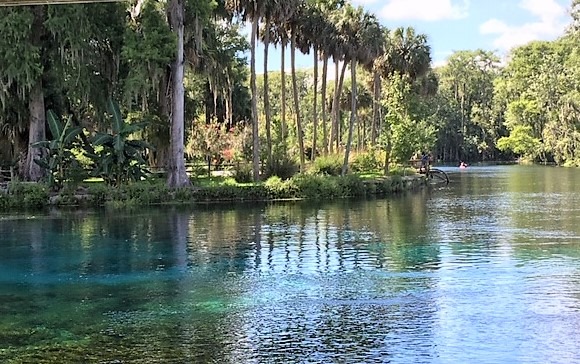 Gorgeous Day At Silver Springs