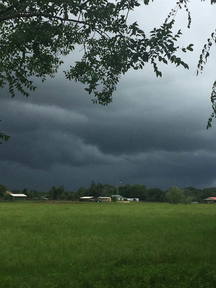 Storms Building Over Farm Fields In Summerfield