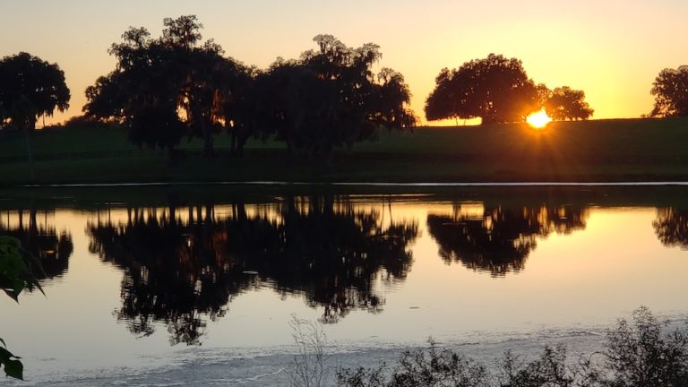 Beautiful Sunset Over Horse Country In Ocala