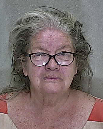 ‘Brushed-off’ Belleview woman admits to slugging firefighter with soup cans in sock