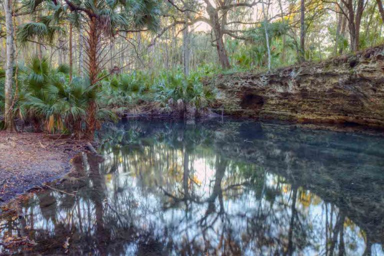 Crystal Clear Spring Water At Scott Springs In Ocala