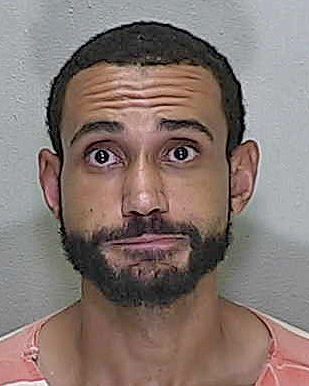 Ocala man returns to jail after spat in vehicle