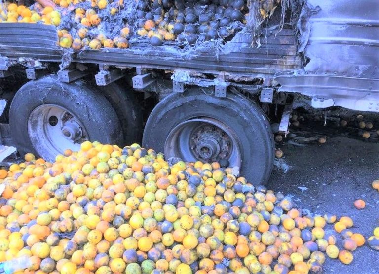 Semi hauling oranges bursts into flames on Interstate 75 in Marion County