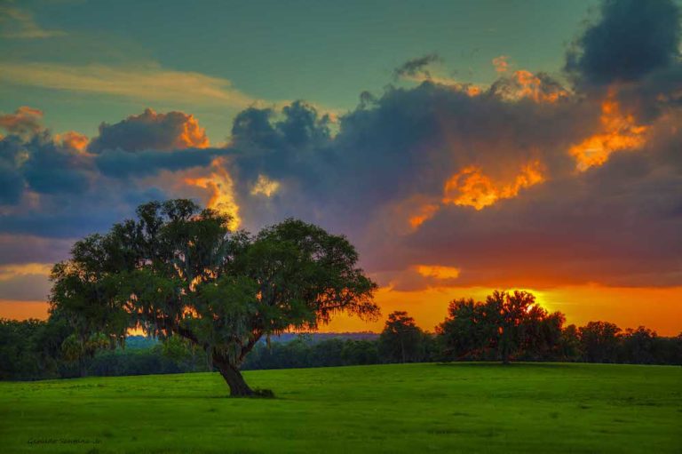 Sunset Over Live Oak Farm In SW Ocala