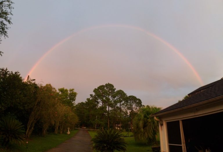 Beautiful Rainbow After A Storm In Ocala