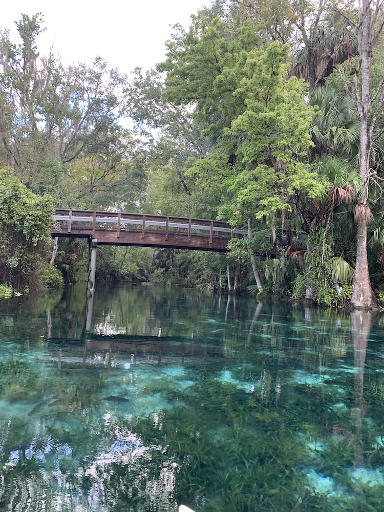 Beauty And Peace Of Silver Springs