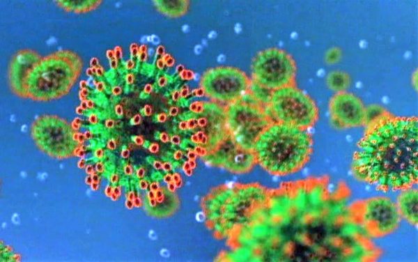 COVID-19 virus slams students and staff members in all three local school districts
