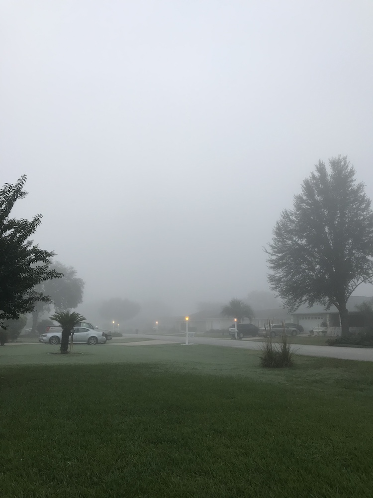 Early Morning Fog At Cherrywood West In Ocala